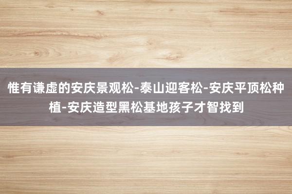 惟有谦虚的安庆景观松-泰山迎客松-安庆平顶松种植-安庆造型黑松基地孩子才智找到